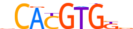 MNT.H14INVITRO.0.PS.A motif logo (MNT gene, MNT_HUMAN protein)