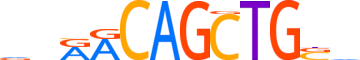 MYF5.H14INVITRO.0.P.D reverse-complement motif logo (MYF5 gene, MYF5_HUMAN protein)
