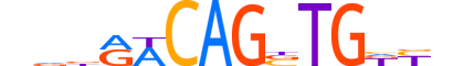 MYF6.H14INVITRO.0.SM.B reverse-complement motif logo (MYF6 gene, MYF6_HUMAN protein)