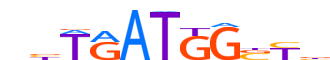NANOG.H14INVITRO.1.P.B motif logo (NANOG gene, NANOG_HUMAN protein)