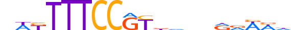 NFAC1.H14INVITRO.2.SM.B reverse-complement motif logo (NFATC1 gene, NFAC1_HUMAN protein)