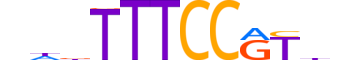 NFAC4.H14INVITRO.1.SM.B reverse-complement motif logo (NFATC4 gene, NFAC4_HUMAN protein)