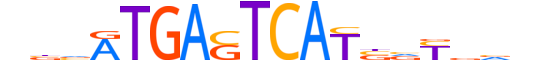 NFE2.H14INVITRO.1.SM.B motif logo (NFE2 gene, NFE2_HUMAN protein)