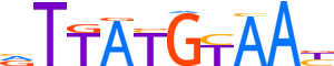 NFIL3.H14INVITRO.0.P.B motif logo (NFIL3 gene, NFIL3_HUMAN protein)