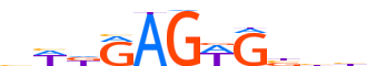 NKX21.H14INVITRO.0.P.D motif logo (NKX2-1 gene, NKX21_HUMAN protein)