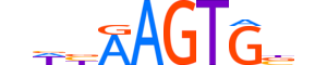 NKX28.H14INVITRO.0.SM.B motif logo (NKX2-8 gene, NKX28_HUMAN protein)