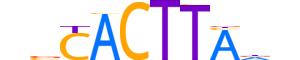 NKX32.H14INVITRO.0.PSM.A reverse-complement motif logo (NKX3-2 gene, NKX32_HUMAN protein)