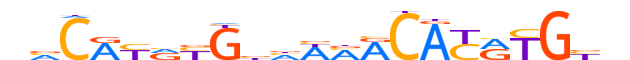 NPAS2.H14INVITRO.0.M.B motif logo (NPAS2 gene, NPAS2_HUMAN protein)