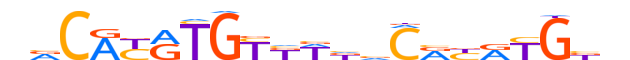 NPAS2.H14INVITRO.0.M.B reverse-complement motif logo (NPAS2 gene, NPAS2_HUMAN protein)