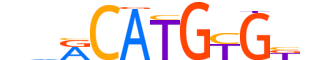NPAS2.H14INVITRO.1.M.C motif logo (NPAS2 gene, NPAS2_HUMAN protein)