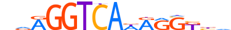 NR2F6.H14INVITRO.2.SM.B motif logo (NR2F6 gene, NR2F6_HUMAN protein)