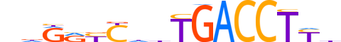 NR2F6.H14INVITRO.3.SM.B reverse-complement motif logo (NR2F6 gene, NR2F6_HUMAN protein)