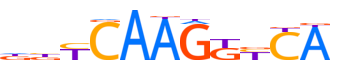 NR6A1.H14INVITRO.1.P.C motif logo (NR6A1 gene, NR6A1_HUMAN protein)