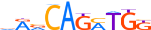 OLIG2.H14INVITRO.1.P.B reverse-complement motif logo (OLIG2 gene, OLIG2_HUMAN protein)