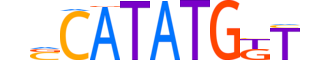 OLIG3.H14INVITRO.0.SM.B motif logo (OLIG3 gene, OLIG3_HUMAN protein)