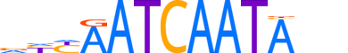 ONEC3.H14INVITRO.2.M.C reverse-complement motif logo (ONECUT3 gene, ONEC3_HUMAN protein)
