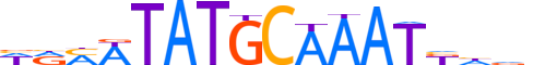 P5F1B.H14INVITRO.0.S.B motif logo (POU5F1B gene, P5F1B_HUMAN protein)