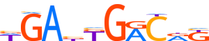 PBX3.H14INVITRO.1.P.D motif logo (PBX3 gene, PBX3_HUMAN protein)