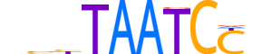 PITX3.H14INVITRO.0.SM.B reverse-complement motif logo (PITX3 gene, PITX3_HUMAN protein)