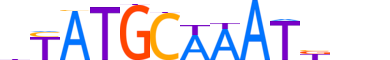 PO2F1.H14INVITRO.0.PS.A motif logo (POU2F1 gene, PO2F1_HUMAN protein)
