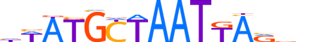 PO3F2.H14INVITRO.2.SM.B reverse-complement motif logo (POU3F2 gene, PO3F2_HUMAN protein)