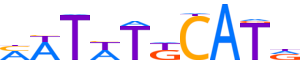 PO3F3.H14INVITRO.0.P.C reverse-complement motif logo (POU3F3 gene, PO3F3_HUMAN protein)