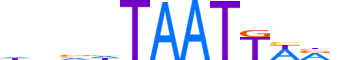 PO3F3.H14INVITRO.2.S.B motif logo (POU3F3 gene, PO3F3_HUMAN protein)