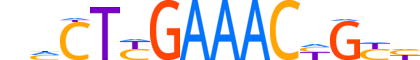 PRDM4.H14INVITRO.0.PSM.A reverse-complement motif logo (PRDM4 gene, PRDM4_HUMAN protein)