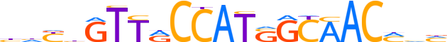 RFX5.H14INVITRO.0.PSG.A reverse-complement motif logo (RFX5 gene, RFX5_HUMAN protein)