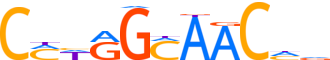RFX6.H14INVITRO.0.P.D reverse-complement motif logo (RFX6 gene, RFX6_HUMAN protein)