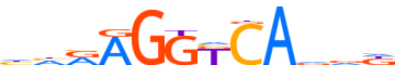 RXRB.H14INVITRO.0.P.C motif logo (RXRB gene, RXRB_HUMAN protein)