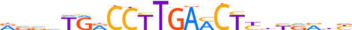 RXRG.H14INVITRO.2.P.B reverse-complement motif logo (RXRG gene, RXRG_HUMAN protein)