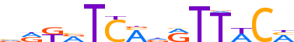 SIX1.H14INVITRO.0.P.B reverse-complement motif logo (SIX1 gene, SIX1_HUMAN protein)