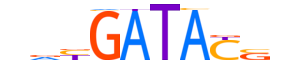 SIX1.H14INVITRO.1.SM.B motif logo (SIX1 gene, SIX1_HUMAN protein)