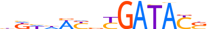 SIX2.H14INVITRO.1.M.C motif logo (SIX2 gene, SIX2_HUMAN protein)