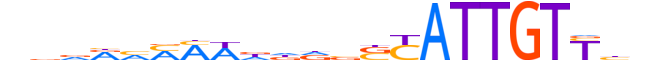 SOX10.H14INVITRO.0.PSM.A motif logo (SOX10 gene, SOX10_HUMAN protein)