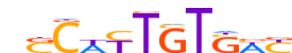 SOX30.H14INVITRO.0.P.C motif logo (SOX30 gene, SOX30_HUMAN protein)