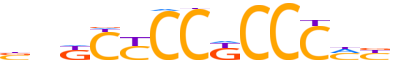SP5.H14INVITRO.0.P.D reverse-complement motif logo (SP5 gene, SP5_HUMAN protein)
