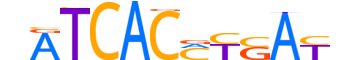 SRBP2.H14INVITRO.2.M.C reverse-complement motif logo (SREBF2 gene, SRBP2_HUMAN protein)