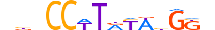 SRF.H14INVITRO.0.PSM.A motif logo (SRF gene, SRF_HUMAN protein)