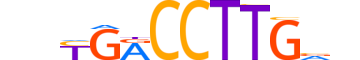 STF1.H14INVITRO.0.PSM.A reverse-complement motif logo (NR5A1 gene, STF1_HUMAN protein)