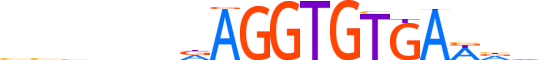 TBR1.H14INVITRO.0.PS.A motif logo (TBR1 gene, TBR1_HUMAN protein)