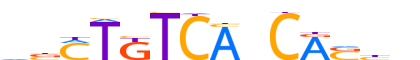 TBX20.H14INVITRO.0.P.C reverse-complement motif logo (TBX20 gene, TBX20_HUMAN protein)