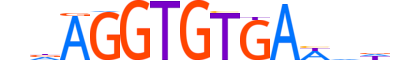 TBX21.H14INVITRO.0.PSM.A motif logo (TBX21 gene, TBX21_HUMAN protein)