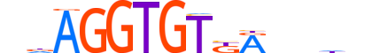 TBX4.H14INVITRO.0.PS.A motif logo (TBX4 gene, TBX4_HUMAN protein)