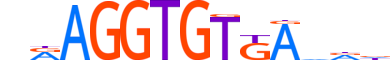 TBX5.H14INVITRO.0.PS.A motif logo (TBX5 gene, TBX5_HUMAN protein)