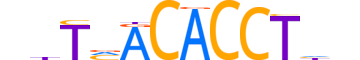 TBX6.H14INVITRO.0.PSM.A reverse-complement motif logo (TBX6 gene, TBX6_HUMAN protein)