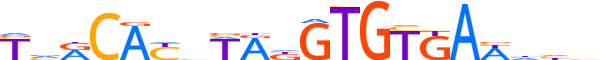 TBXT.H14INVITRO.0.PS.A motif logo (TBXT gene, TBXT_HUMAN protein)