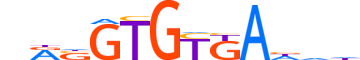 TBXT.H14INVITRO.1.PSM.A motif logo (TBXT gene, TBXT_HUMAN protein)