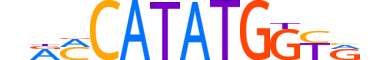 TCF21.H14INVITRO.1.SM.B reverse-complement motif logo (TCF21 gene, TCF21_HUMAN protein)